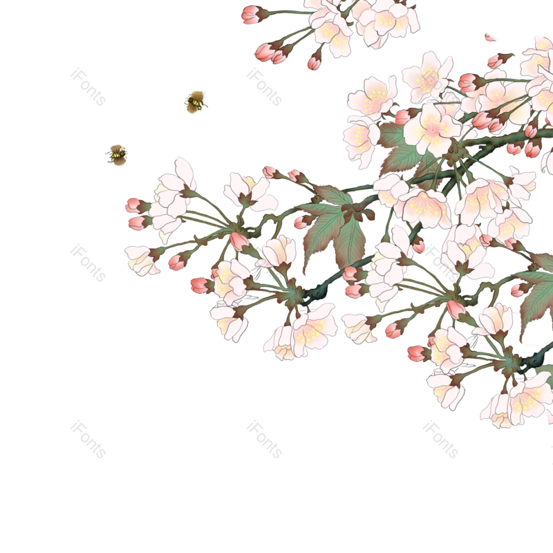 鲜花图片,花朵素材元素,工笔画PNG,免抠素材